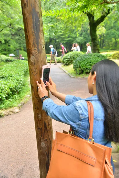 DSC_3377 (Large).JPG